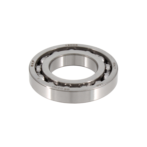 skf-100200520