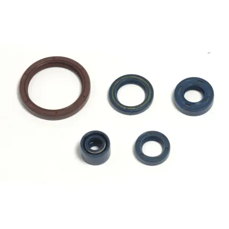 serie-paraolio-athena-per-husqvarna-smr-250-450-tc-te-txc-510-2004-2010-off-road-p400220400255